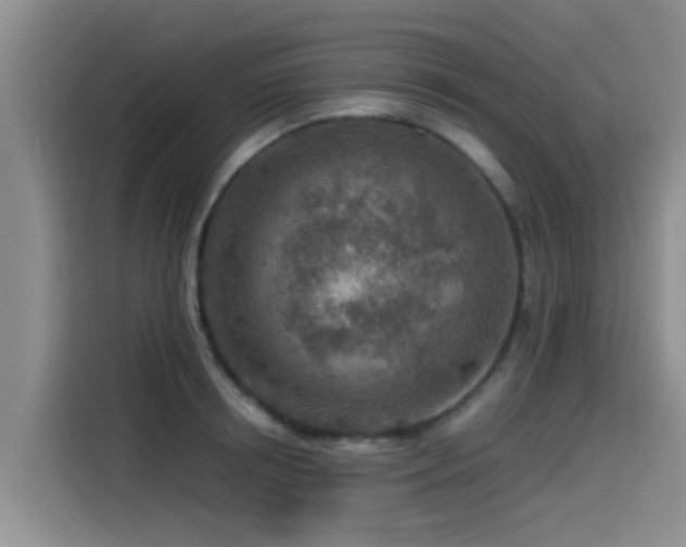 X0000115550850200911061531