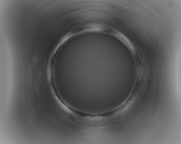 X0000115550851200911061531