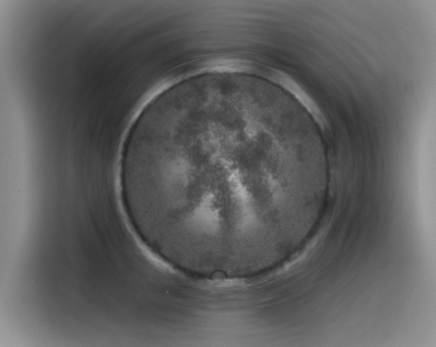 X0000115550853200911061531