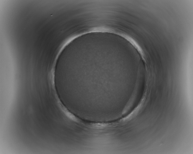 X0000115550854200911061531