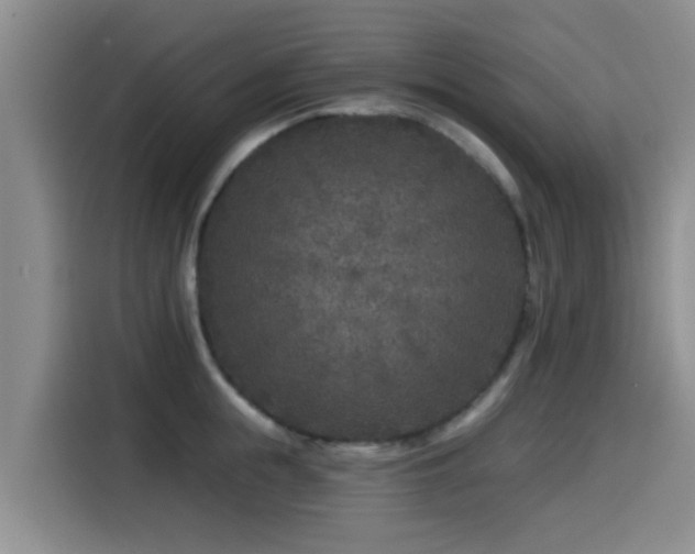 X0000115550855200911061531