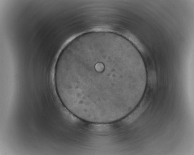 X0000115550856200911061531