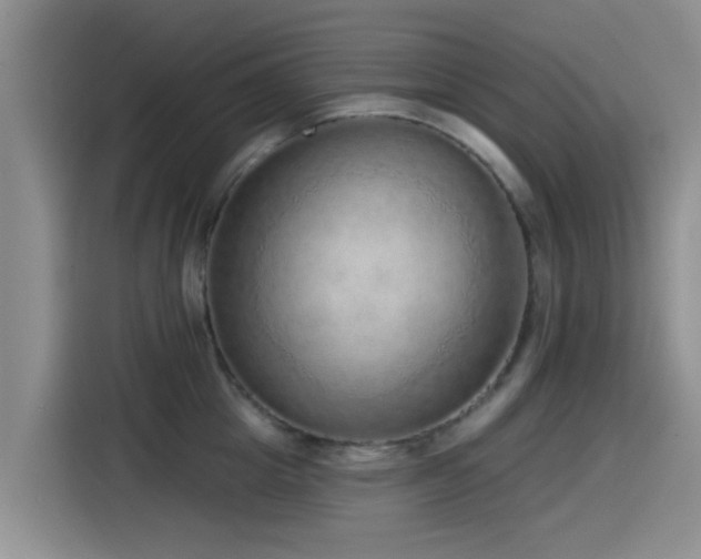 X0000115550857200911061531