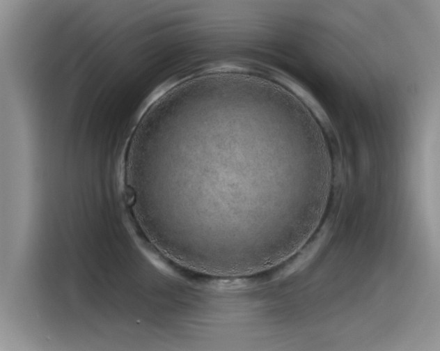 X0000115550858200911061531