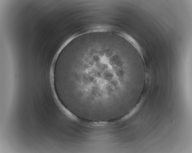 X0000115550859200911061531