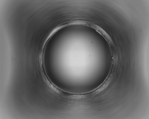 X0000115550860200911061531