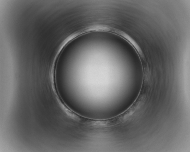 X0000115550861200911061531