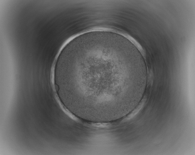 X0000115550862200911061531
