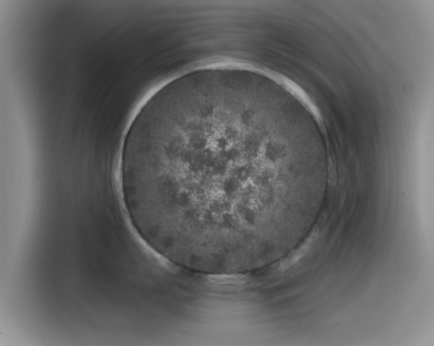X0000115550863200911061531