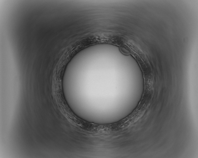 X0000115550865200911061531