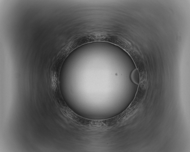 X0000115550866200911061531