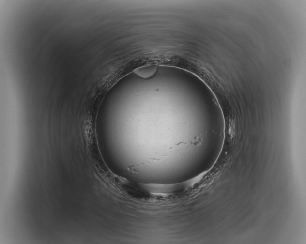 X0000115550867200911061531