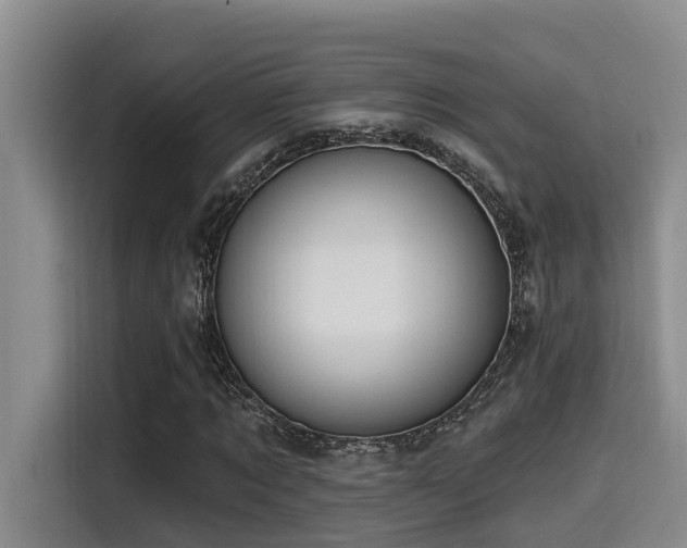 X0000115550869200911061531