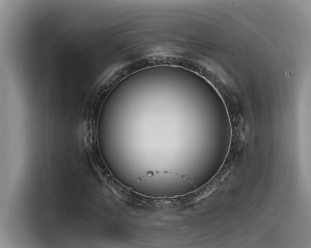 X0000115550870200911061531