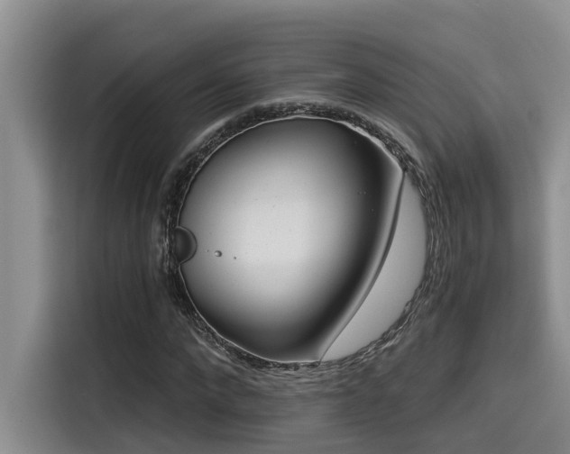X0000115550872200911061531