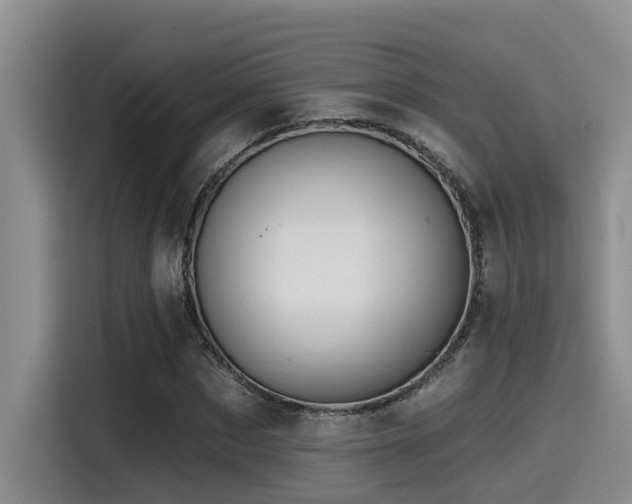 X0000115550873200911061531