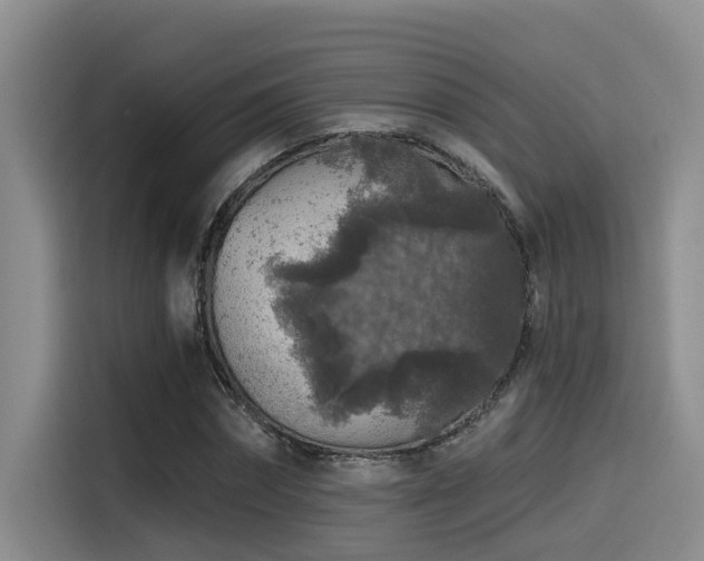X0000115550874200911061531