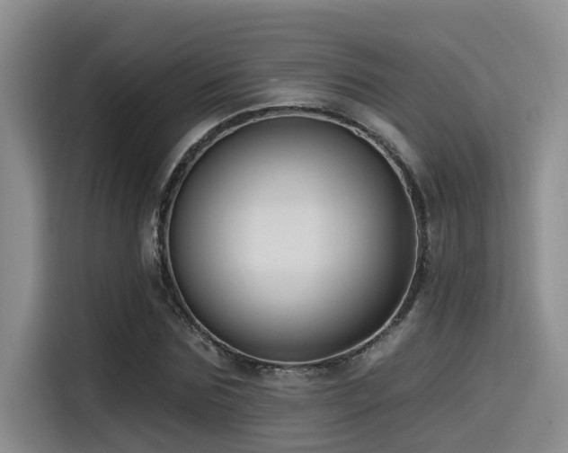 X0000115550875200911061531