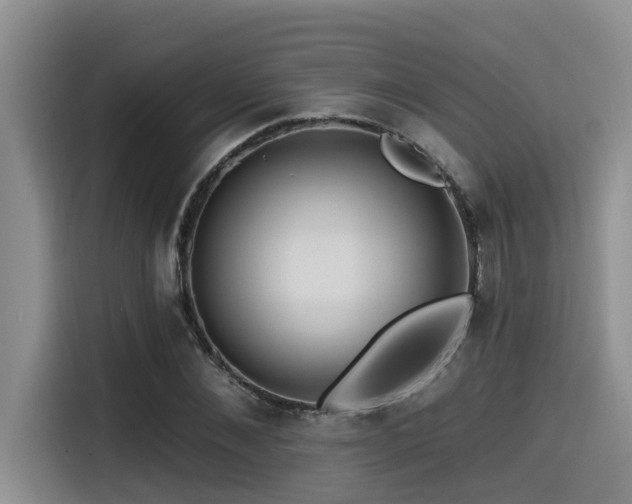 X0000115550876200911061531
