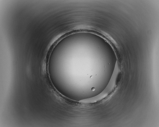 X0000115550877200911061531