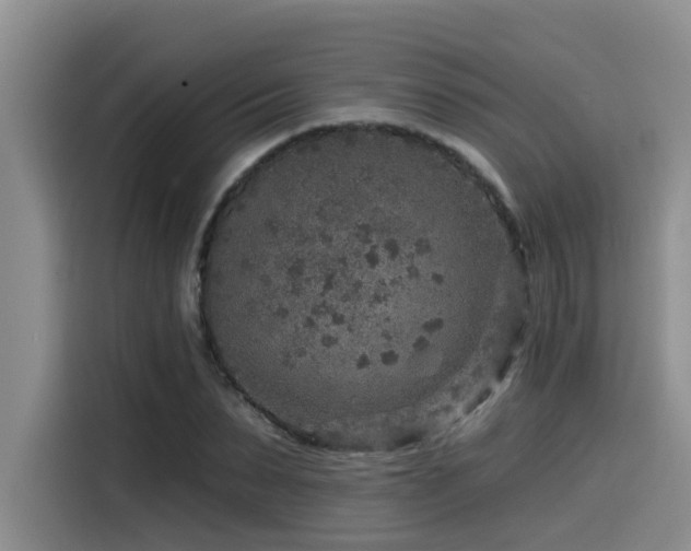 X0000115550879200911061531