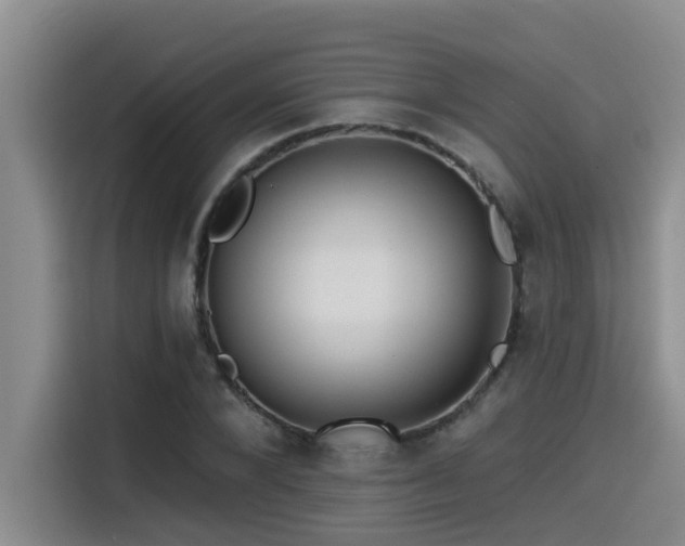 X0000115550880200911061531