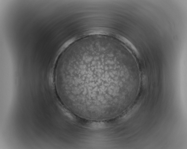 X0000115550882200911061531