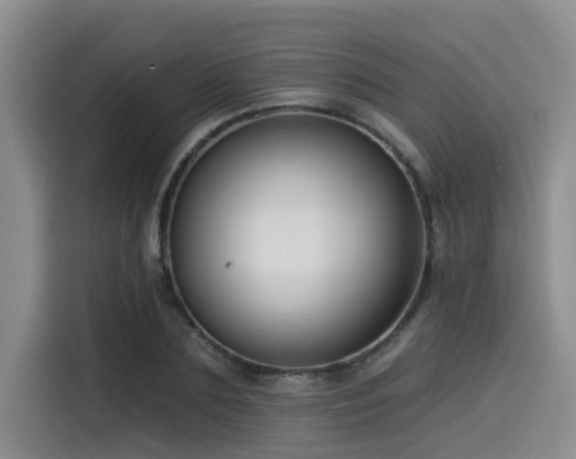 X0000115550883200911061531