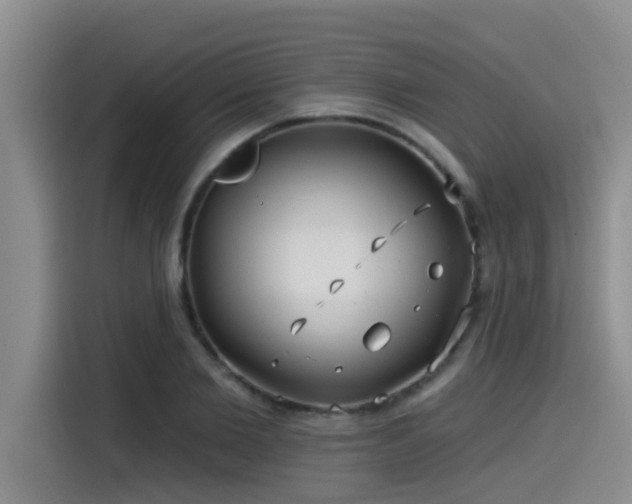 X0000115550885200911061531
