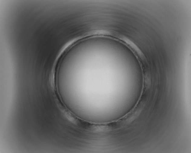 X0000115550886200911061531