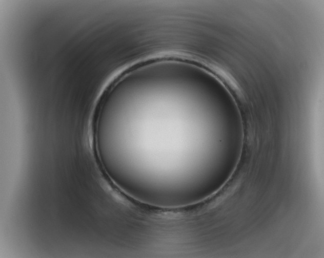 X0000115550888200911061531