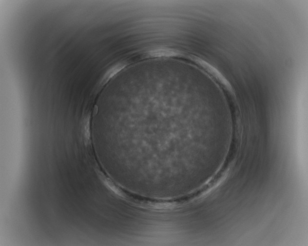 X0000115550889200911061531