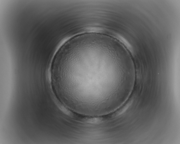 X0000115550891200911061530