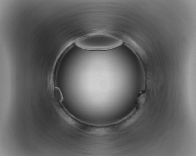 X0000115550892200911061530