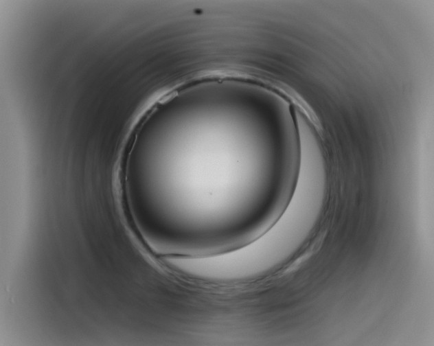 X0000115550893200911061530