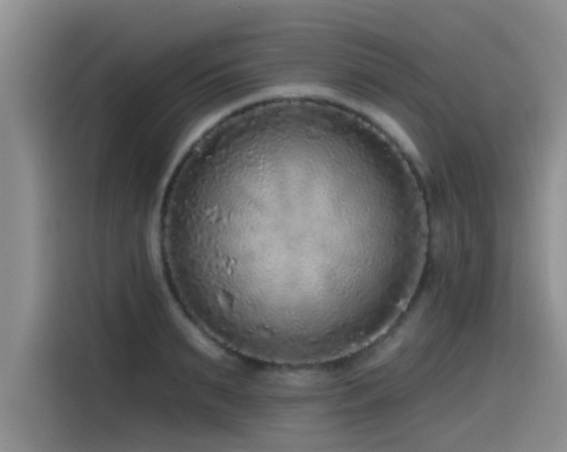 X0000115550895200911061530