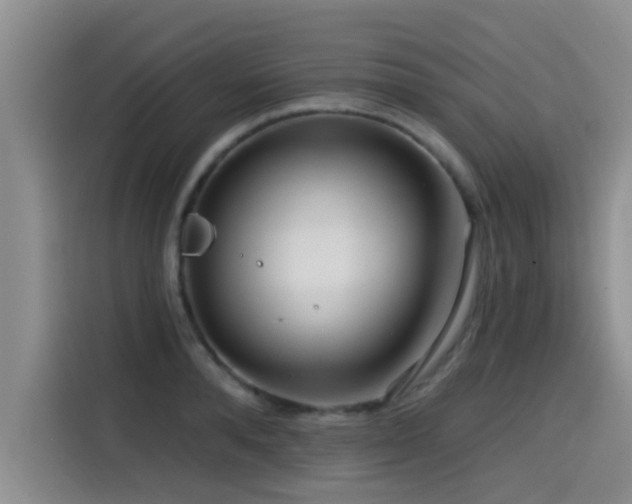 X0000115550896200911061530