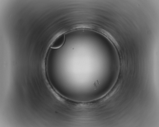 X0000115550898200911061530