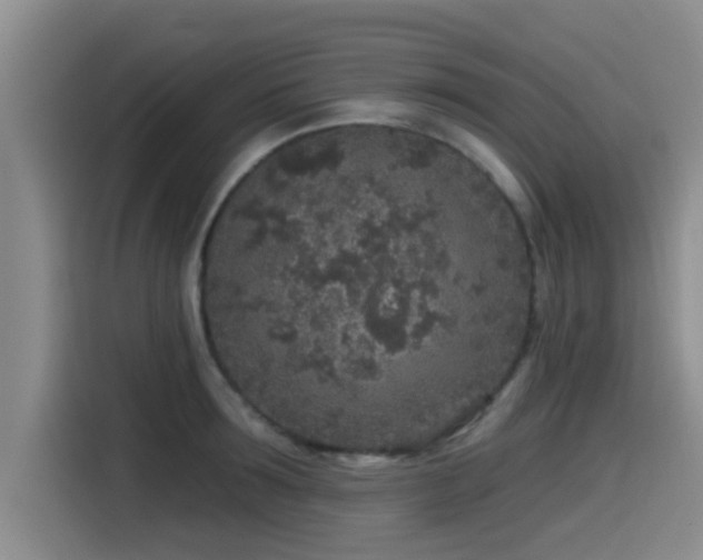 X0000115550899200911061530