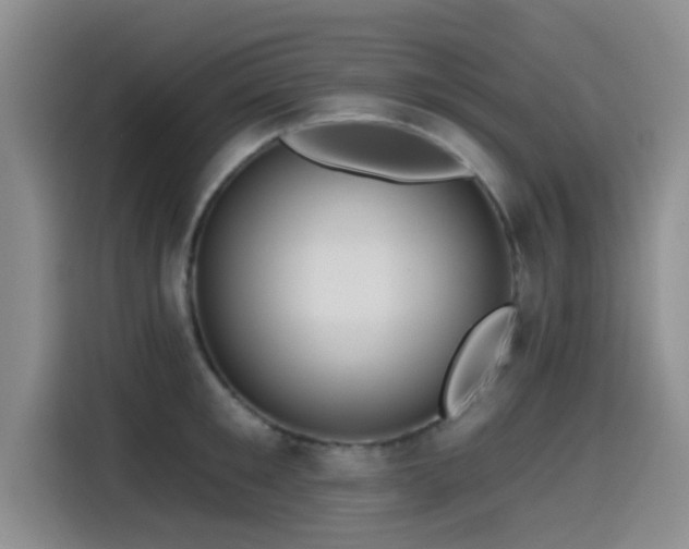 X0000115550901200911061530