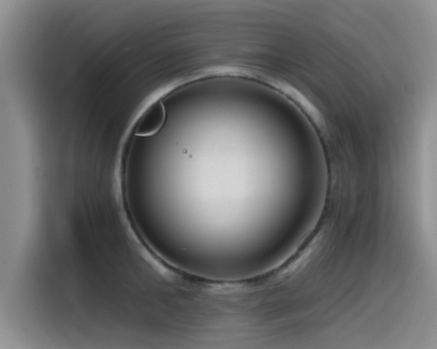 X0000115550902200911061530