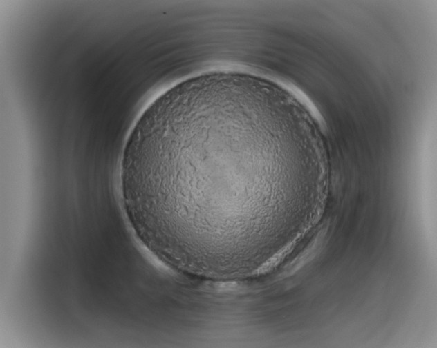X0000115550903200911061530