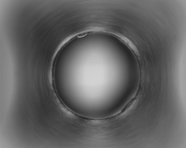 X0000115550904200911061530