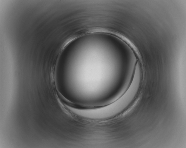 X0000115550905200911061530