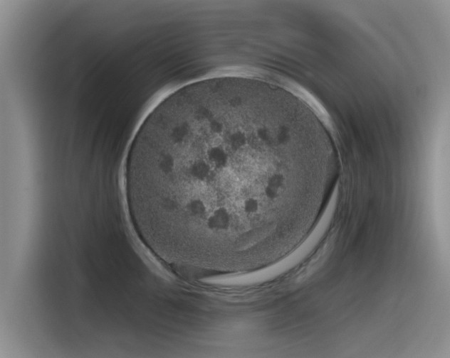 X0000115550907200911061530