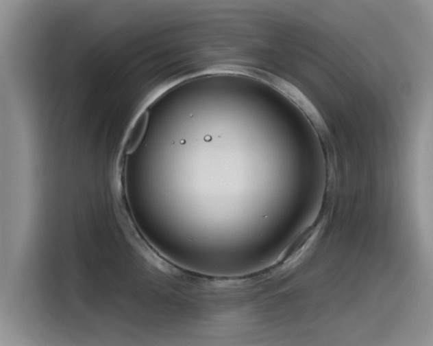 X0000115550908200911061530