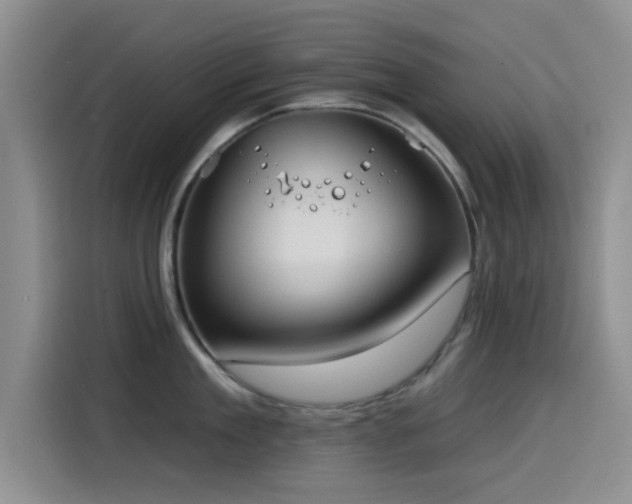 X0000115550909200911061530