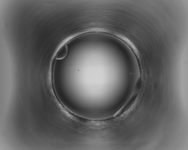 X0000115550910200911061530