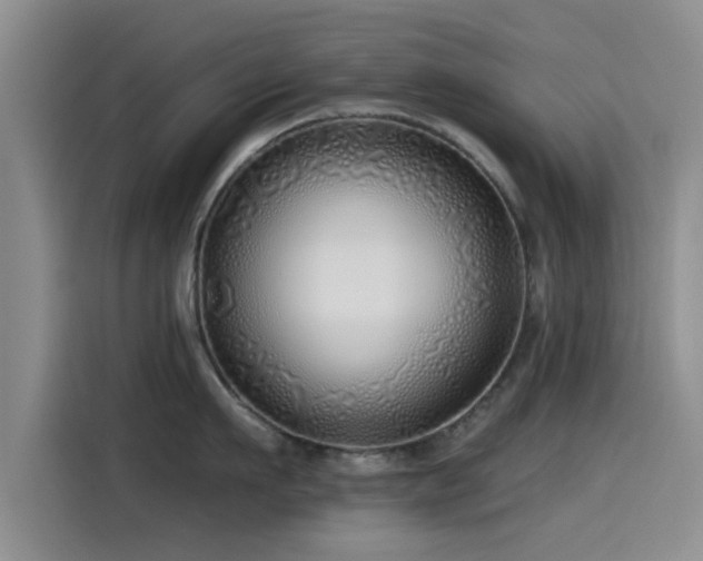 X0000115550911200911061530