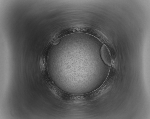 X0000115550915200911061530